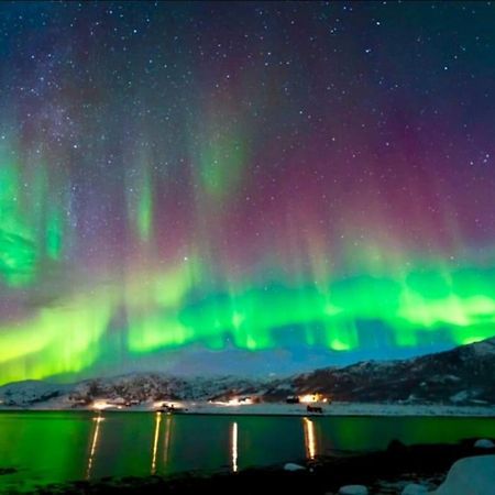 In The Heart Of The Aurora Borealis - Tromso City Kültér fotó
