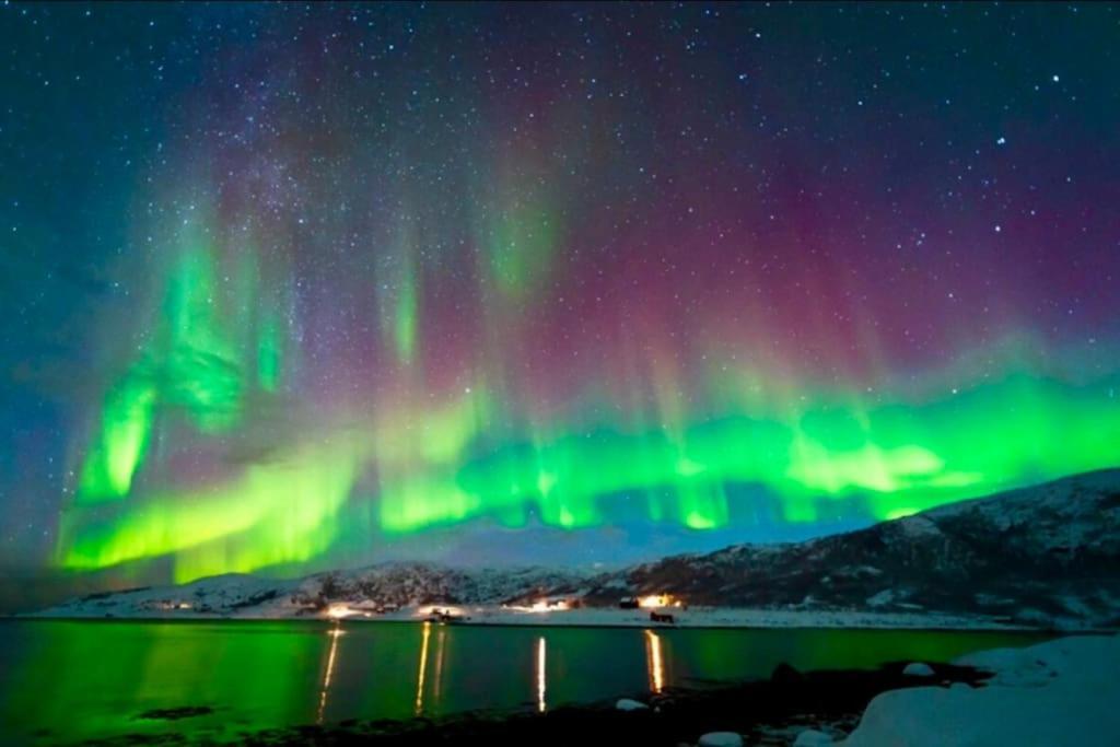 In The Heart Of The Aurora Borealis - Tromso City Kültér fotó
