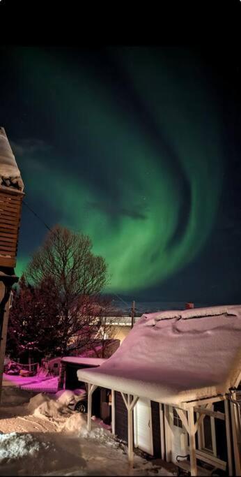 In The Heart Of The Aurora Borealis - Tromso City Kültér fotó